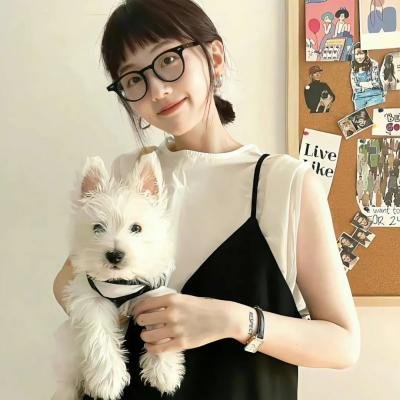 哔哔密探新歌声