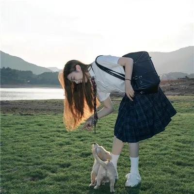 野狗在跳舞
